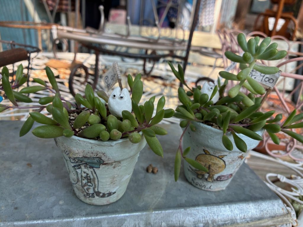 まとめ｜熊谷周辺で自然と雑貨を楽しむなら